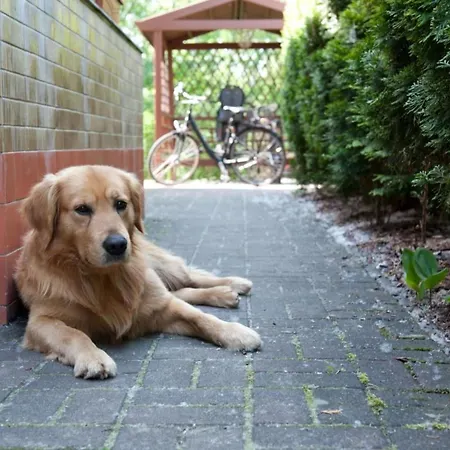 In Alt-schadow Mit Grill Und Terrasse By Interhome Сasa de vacaciones *