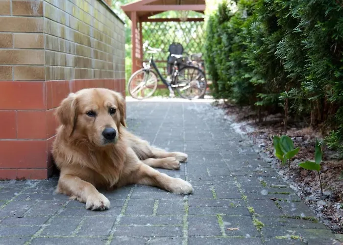 In Alt-schadow Mit Grill Und Terrasse By Interhome Holiday home *